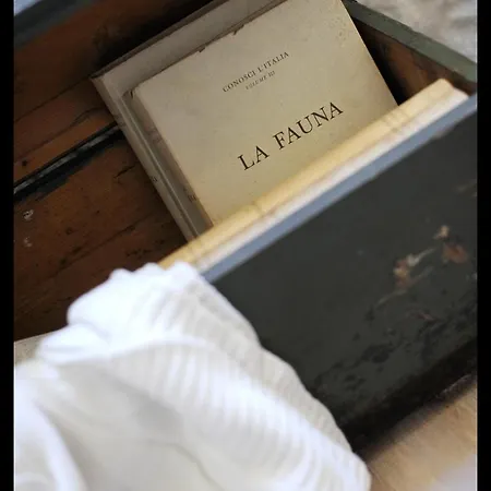 Quartopiano Apartamento Módena